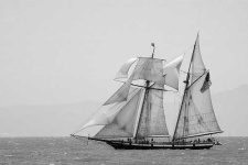 image of pirate_ship