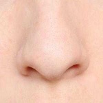 image of nose #30