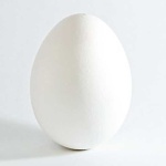 image of egg_shell #9