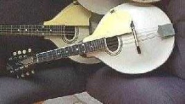 image of mandolin