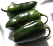 image of jalepeno #13