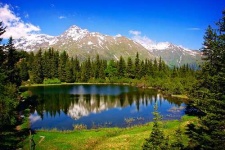 image of alp