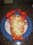 image of american_lobster
