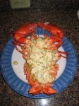 image of american_lobster #15