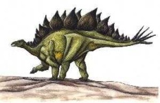 image of stegosaurus
