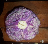 image of head_cabbage