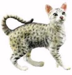 image of egyptian_mau #14