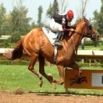 image of sport
