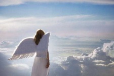 image of angel