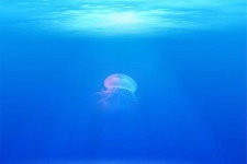 image of ocean