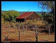 image of barn