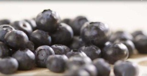 image of blueberry