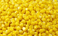 image of sweetcorn #28