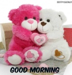 image of teddy_bear