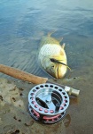 image of fishing_items #31