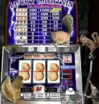 image of slot_machine #156