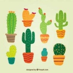 image of cactus