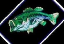 image of animal