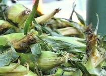 image of corn