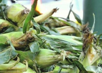 image of corn #4