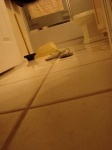 image of plunger