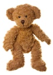 image of teddy_bear