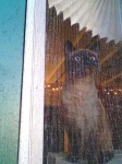 image of window_screen