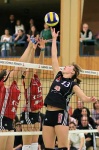 image of volleyball