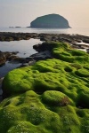 image of rocky_shore