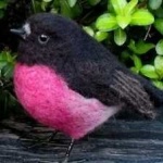 image of bird
