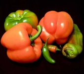 image of bell_pepper #23