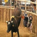 image of bull_riding #33