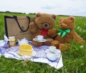 image of teddy_bear