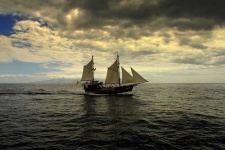 image of pirate_ship #375