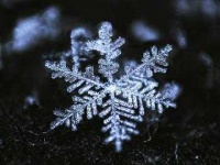image of snowflake