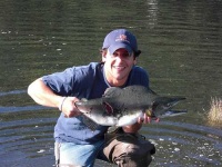 image of coho