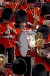 image of bearskin