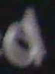 image of char