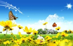 image of sunny