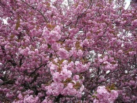 image of texture