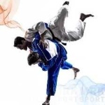 image of judo #1