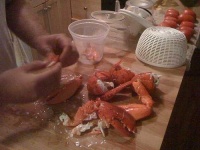 image of american_lobster
