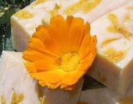 image of flower