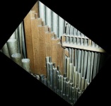 image of organ #9