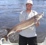 image of sturgeon