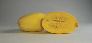 image of spaghetti_squash