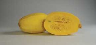 image of spaghetti_squash #12