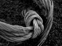 image of knot