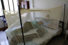 image of mosquito_net