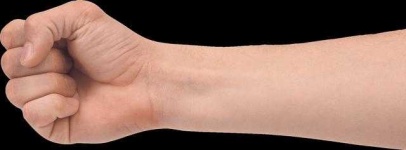 image of human_body_parts
